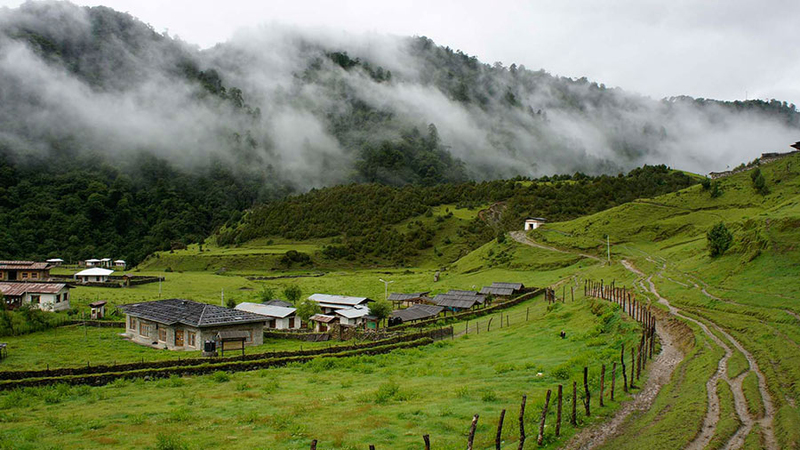 Gangtey Nature Hike