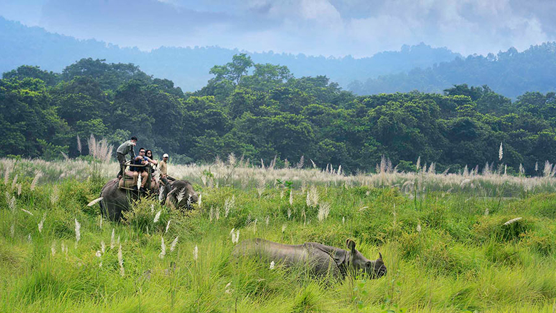 Chitwan National Park