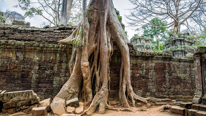 Ta Prohm Temple