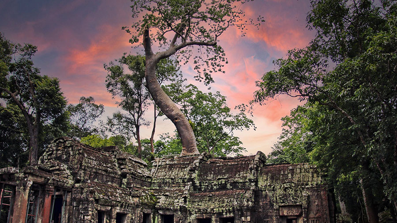 Ta Prohm Temple