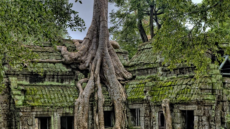 Ta Prohm Temple