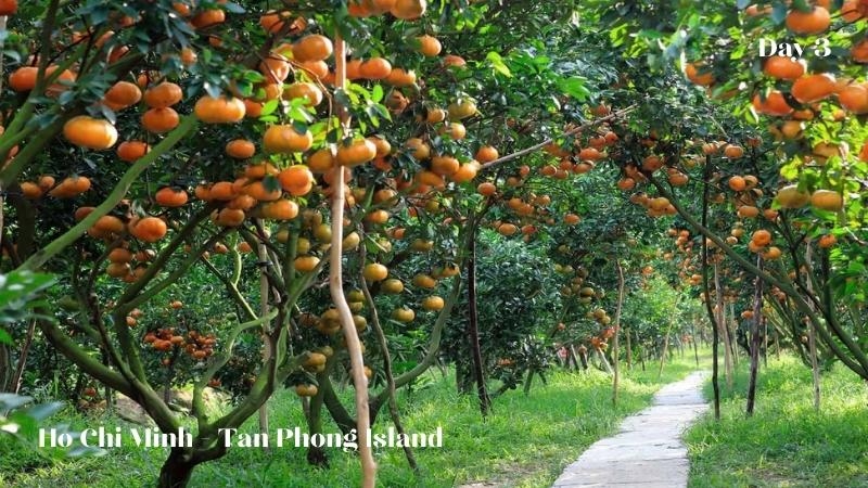 Ho Chi Minh - Tan Phong island
