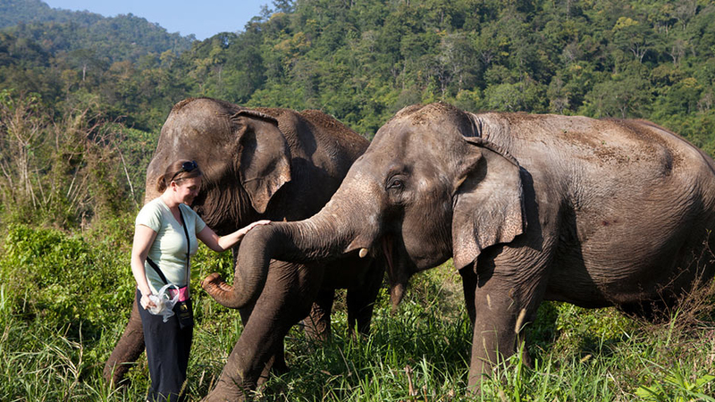 Elephant Nature Park