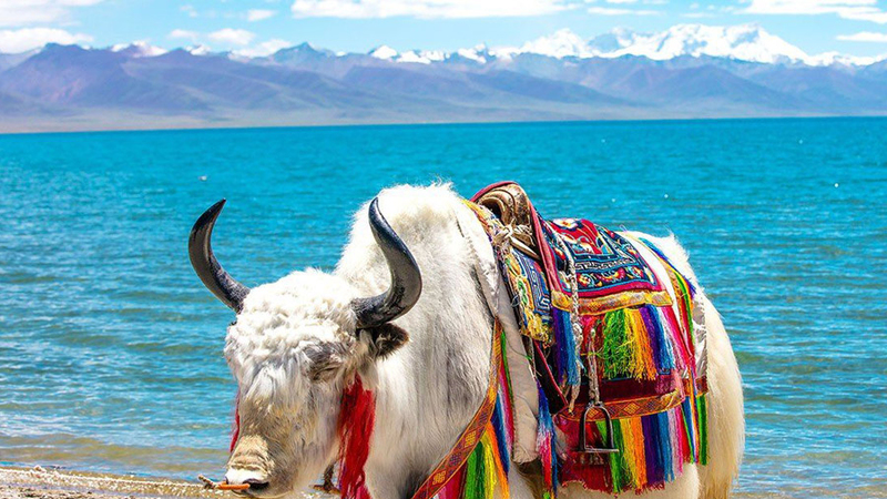 Lake Namtso
