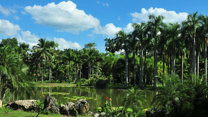 Xishuangbanna Tropical Botanical Garden