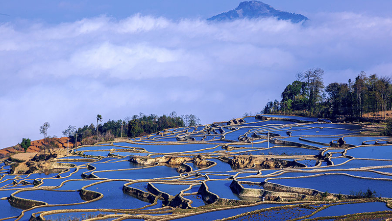 Yuanyang Rice Terraces