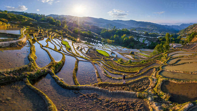 Yuanyang Rice Terraces